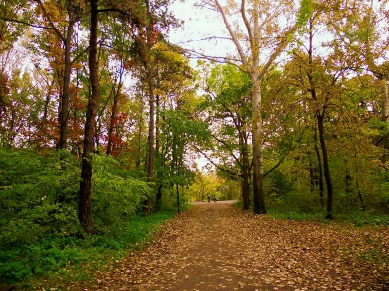 DSCN1093.jpg