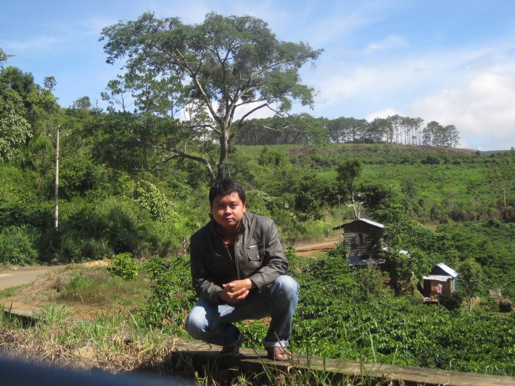 QL55QL28319.jpg