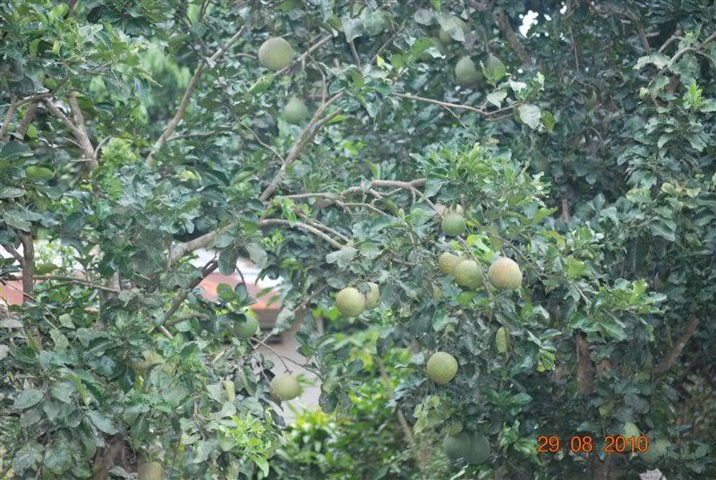 DSC_1707.jpg