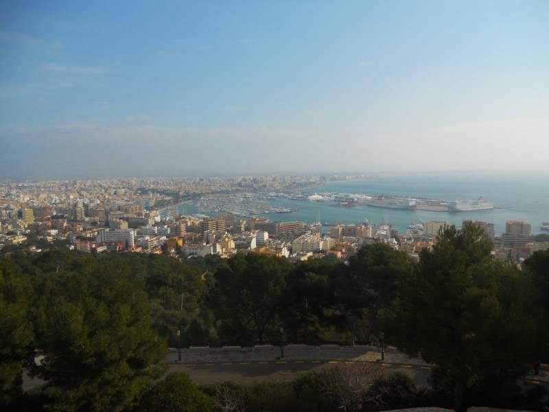 DSCN6612.jpg