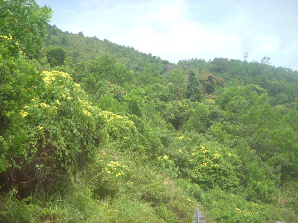DSCN4685_zps02ada360.jpg