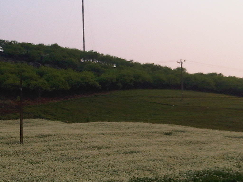 IMG00527-20120305-0710.jpg