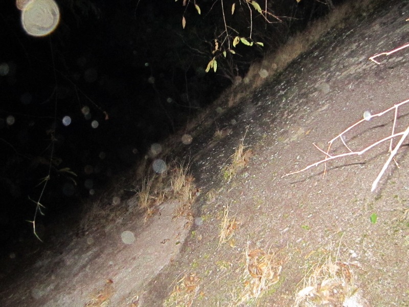 1258_zpsaf35045e.jpg