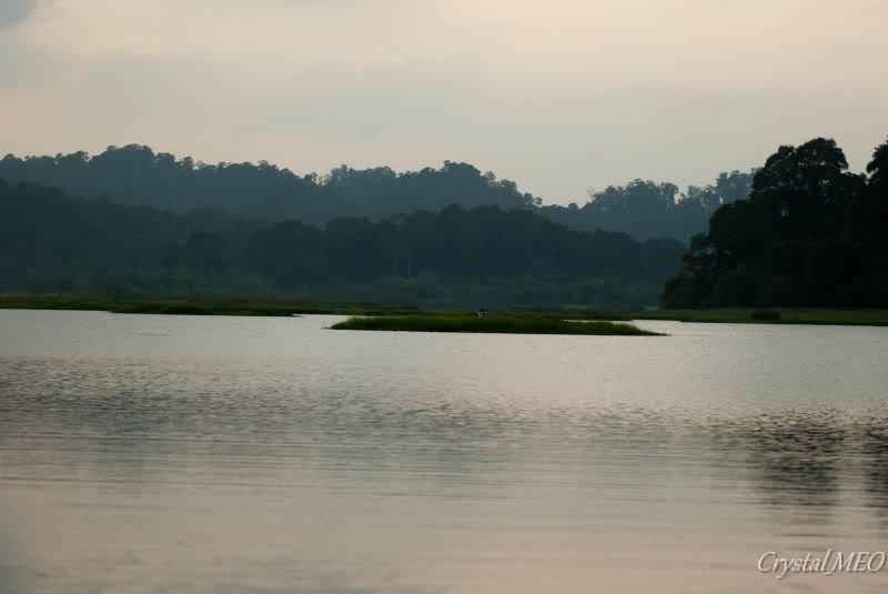 DSC_0204.jpg