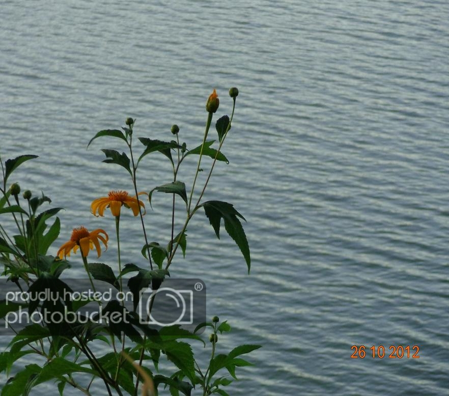 DSC00685R.jpg