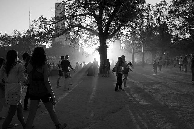 IMG_5649-1.jpg