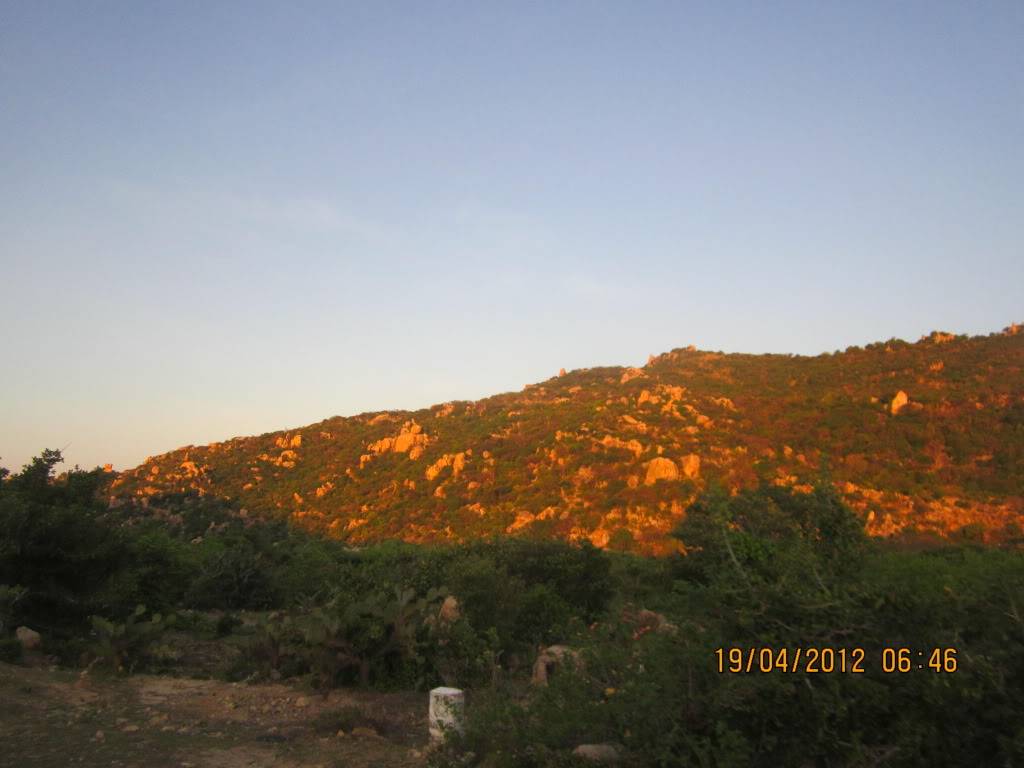IMG_5012.jpg