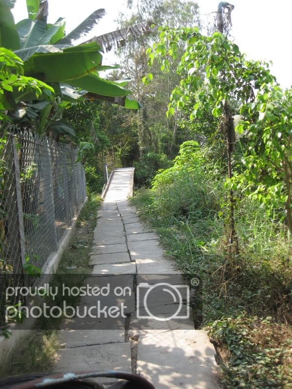 DongThapTET2011074.jpg