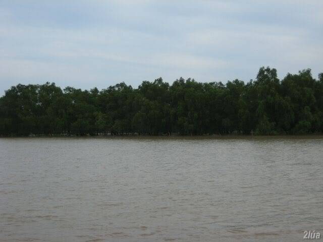 IMG_2436.jpg