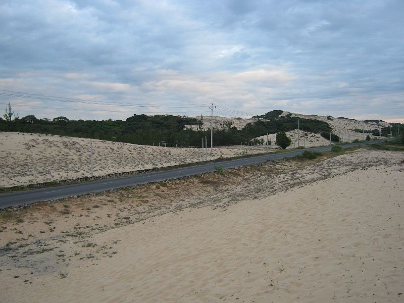 IMG_8125.jpg