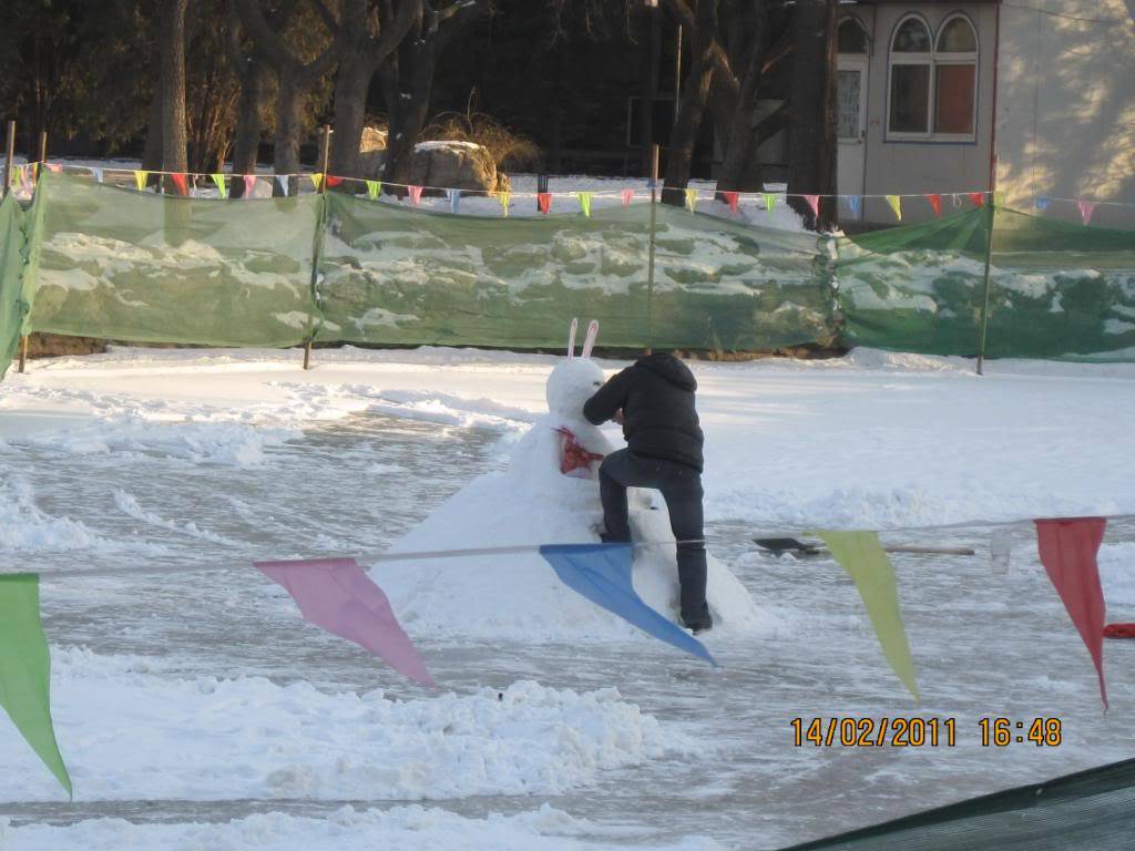 IMG_6038.jpg