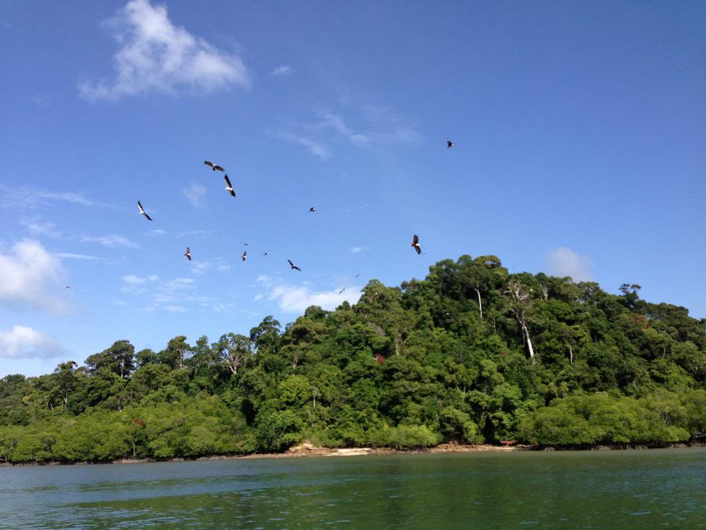 IMG_0820_zps352209fa.jpg