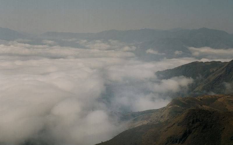 c20013.jpg