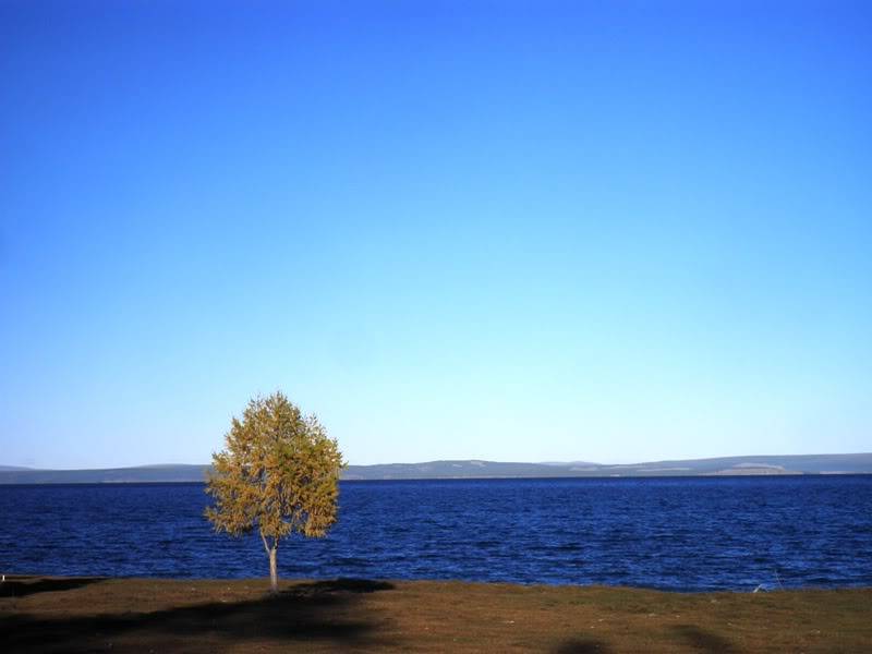 P9201153.jpg