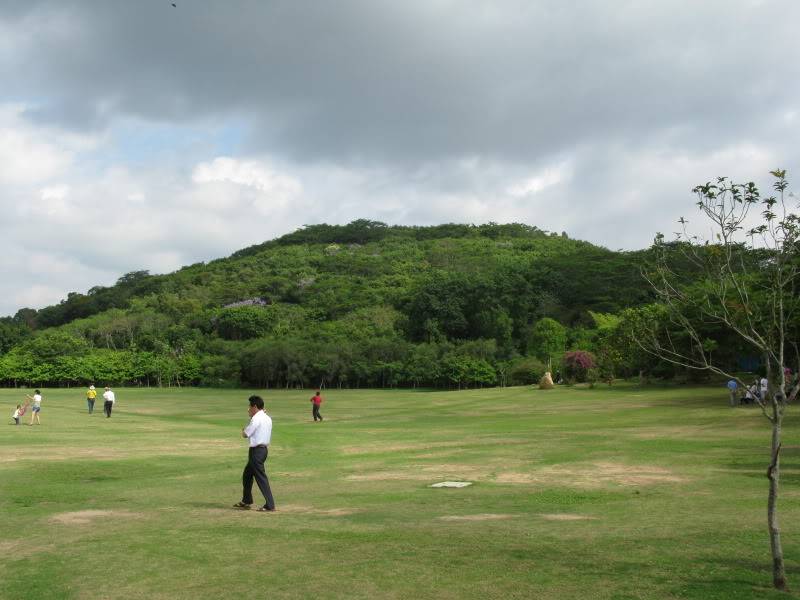 IMG_8182.jpg
