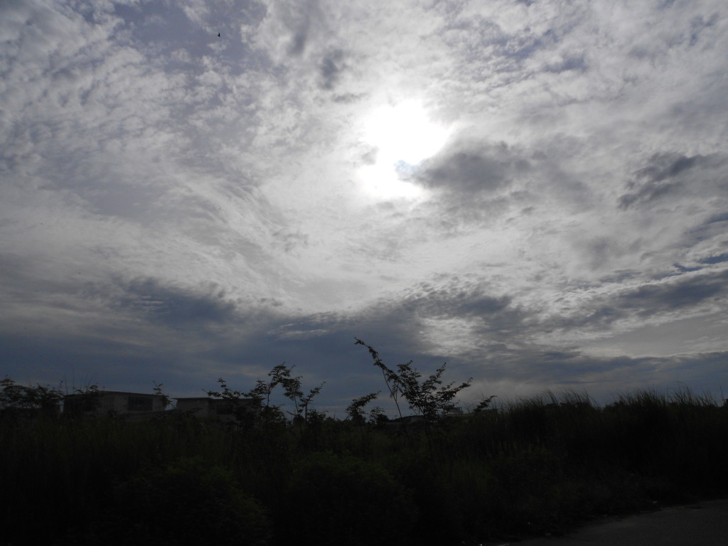 DSCN0117.jpg