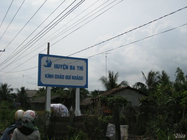 IMG_2290.jpg