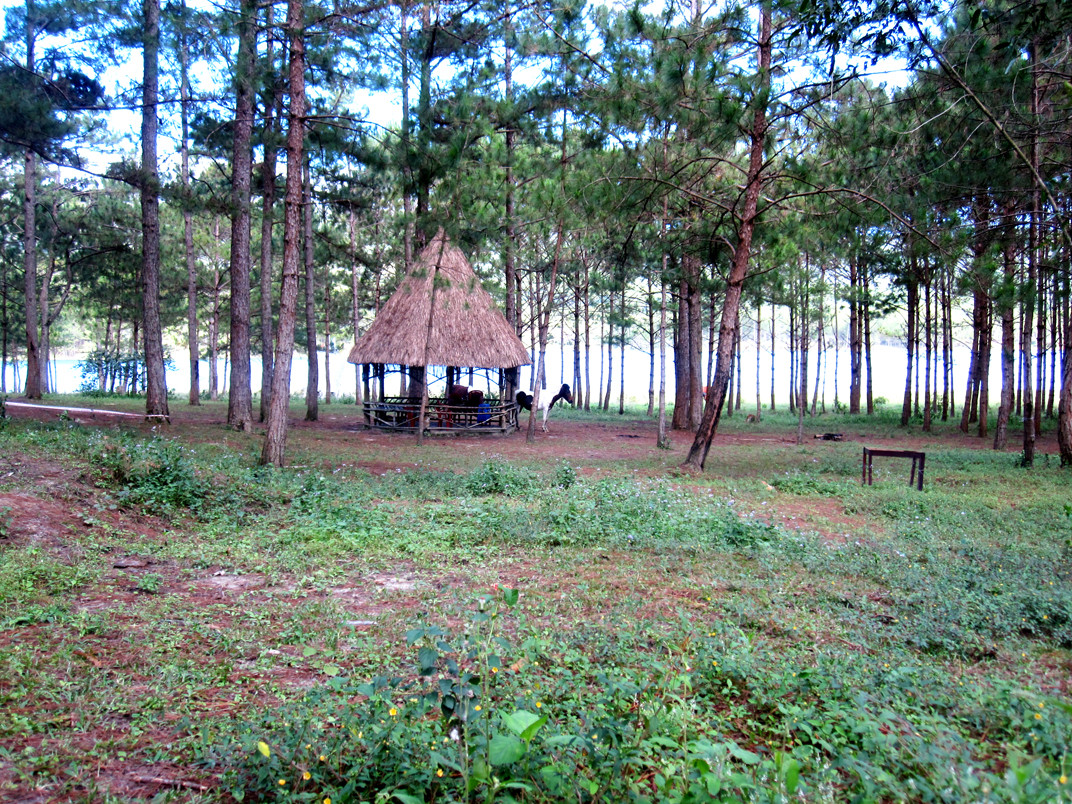 OLf4a8i.jpg