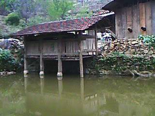 IMG0101A.jpg