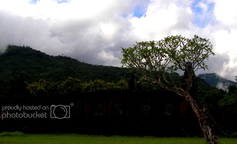 P9200541-1_zps6a015e07.jpg