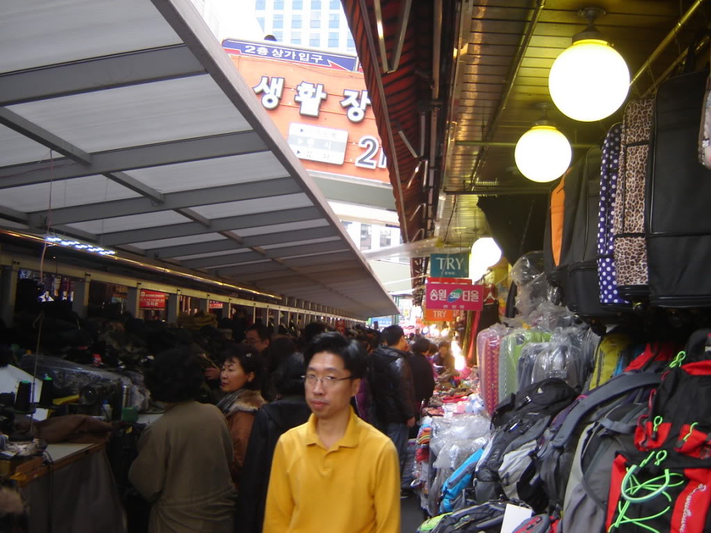 DSC08368.jpg