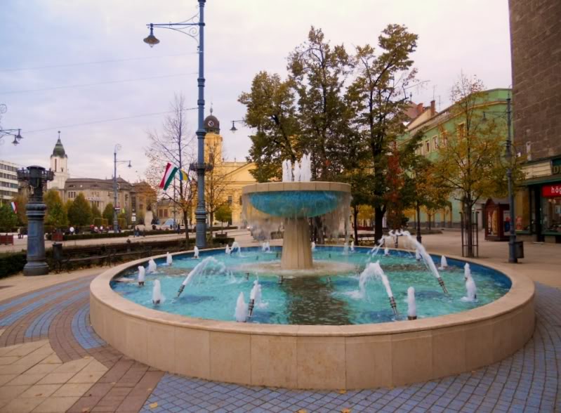 DSCN1221.jpg
