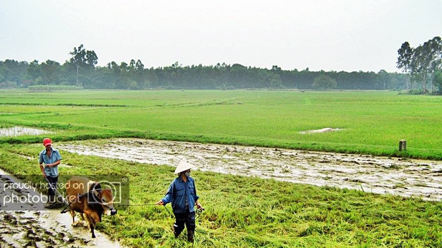 dongduong.jpg