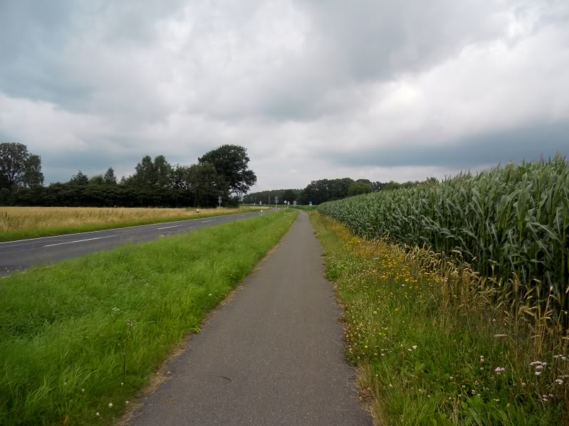 DSCN8764.jpg