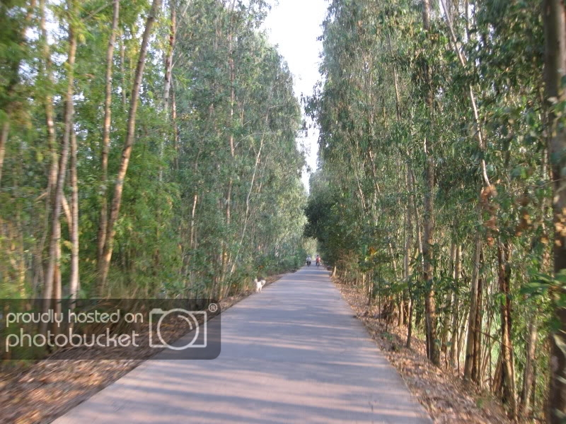 DongThapTET2011265.jpg