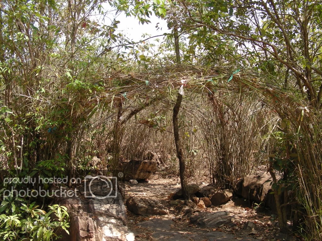 DSCN3281.jpg