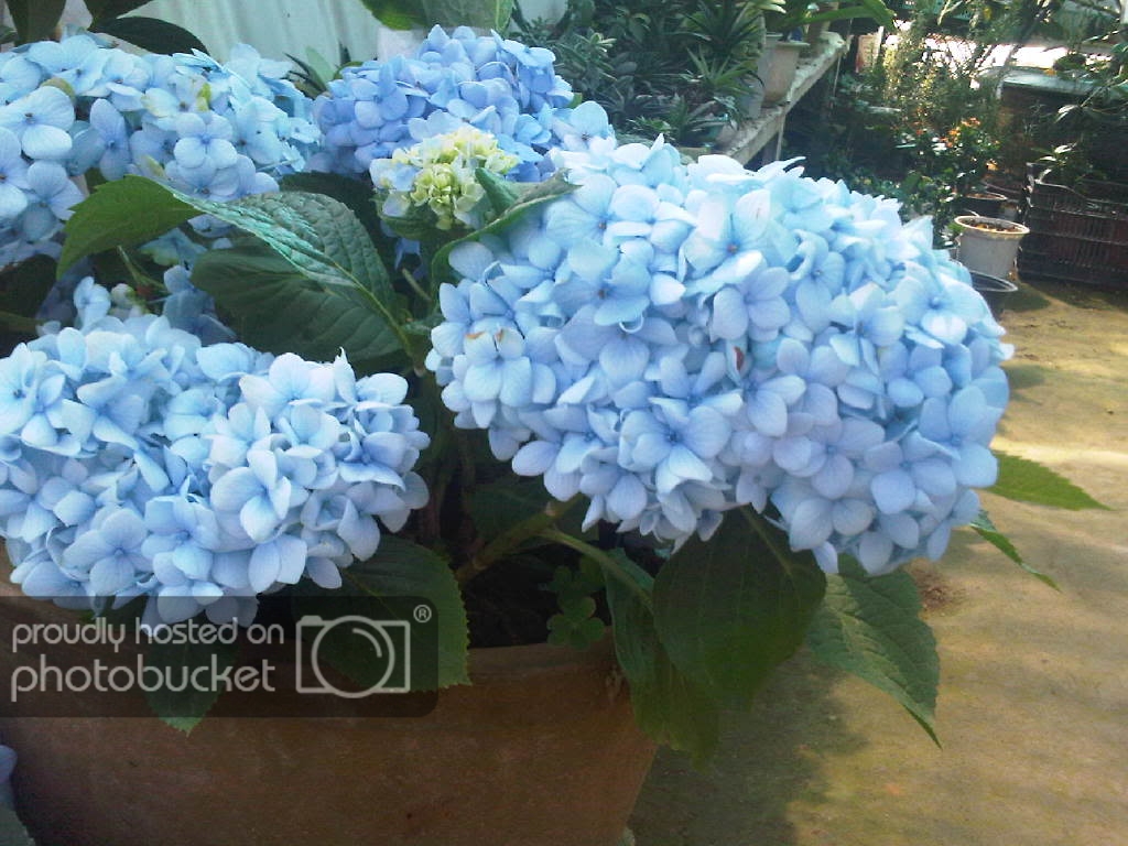 IMG-20111122-00157.jpg