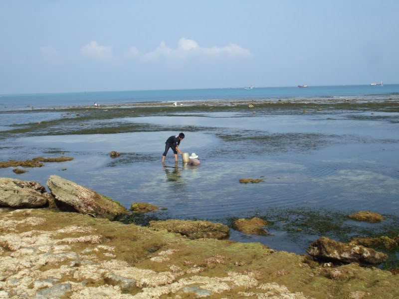 DSCF6788.jpg