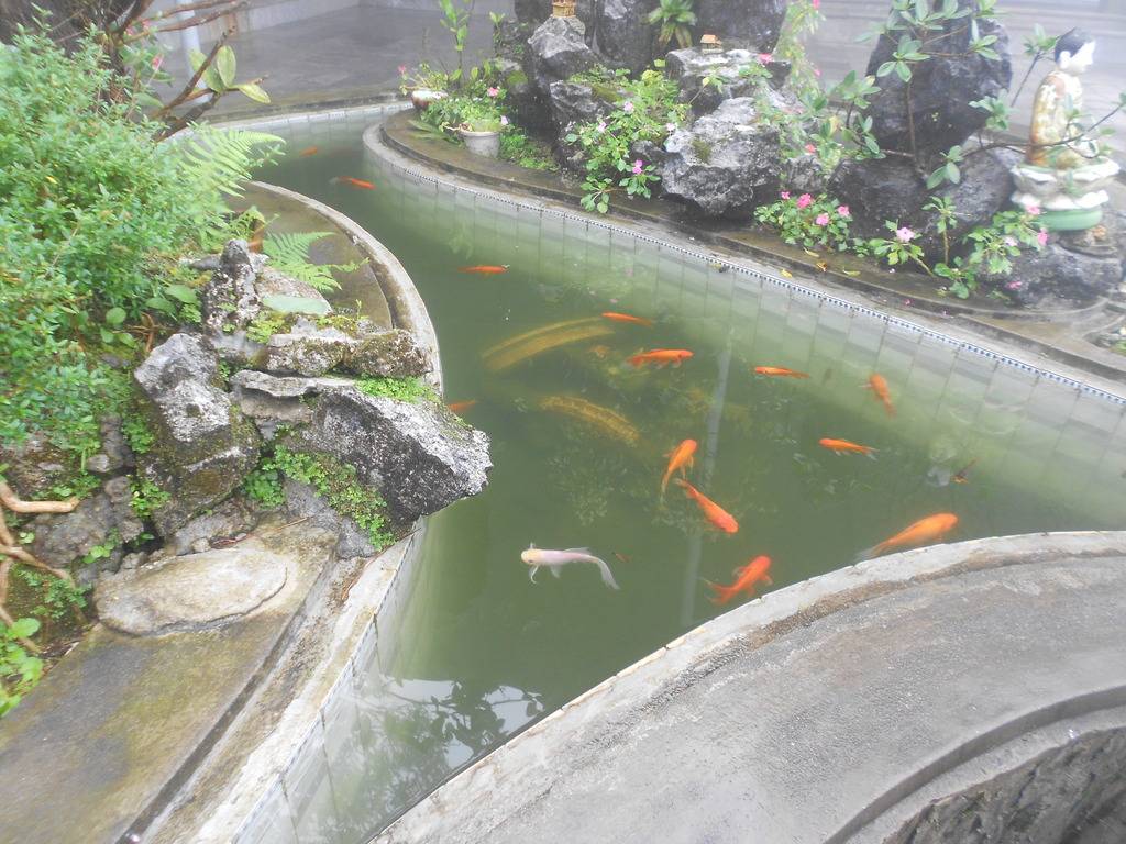 DSCN0139_zpsdw4fhfol.jpg