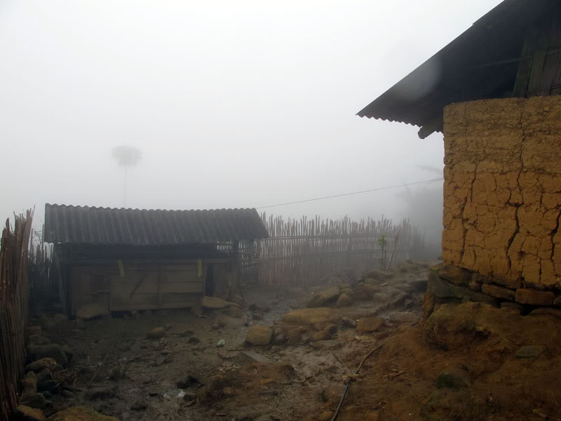 HongNgai2011380.jpg