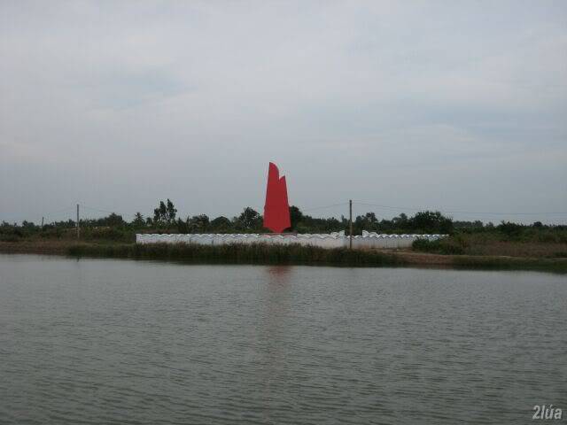 IMG_2427.jpg