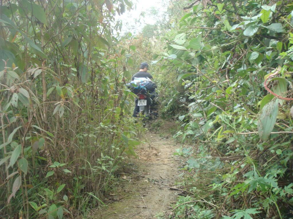 DSC05975.jpg