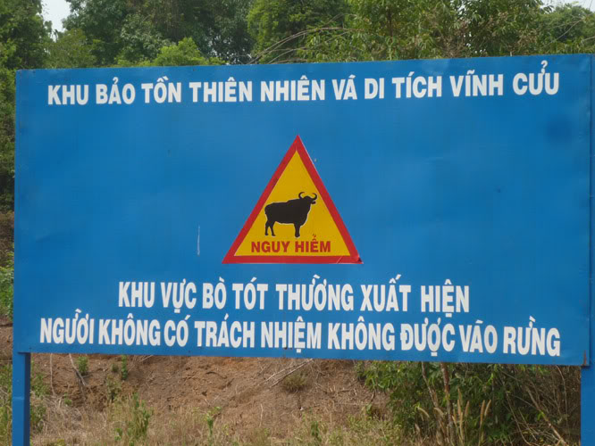 P1240465.jpg