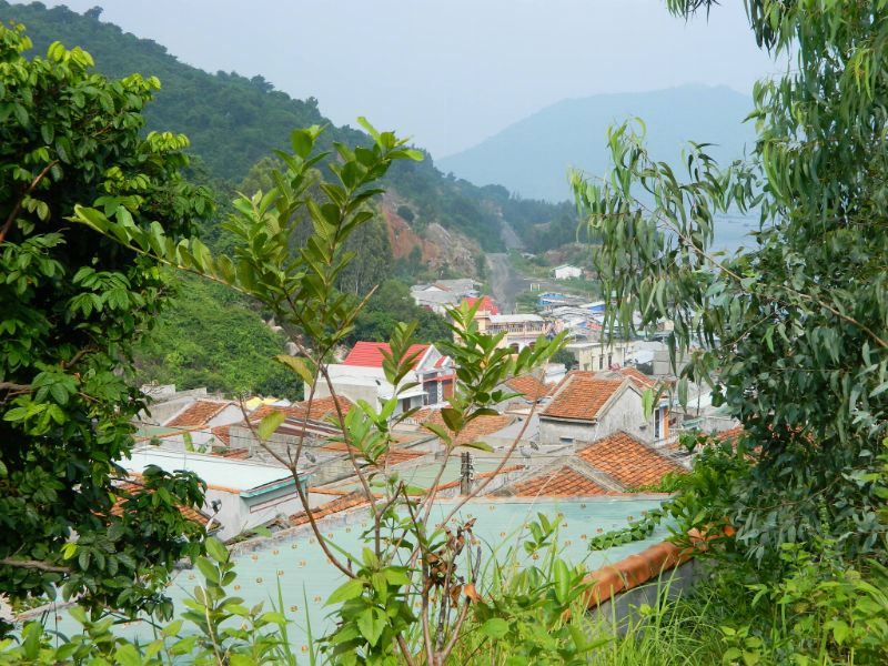 DSCN2398.jpg