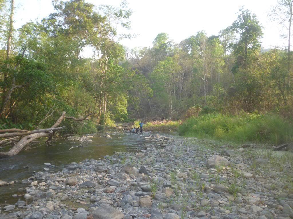 P1020075_zps4e9bc6ff.jpg