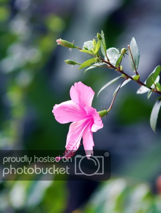 DSC_6922_resize.jpg
