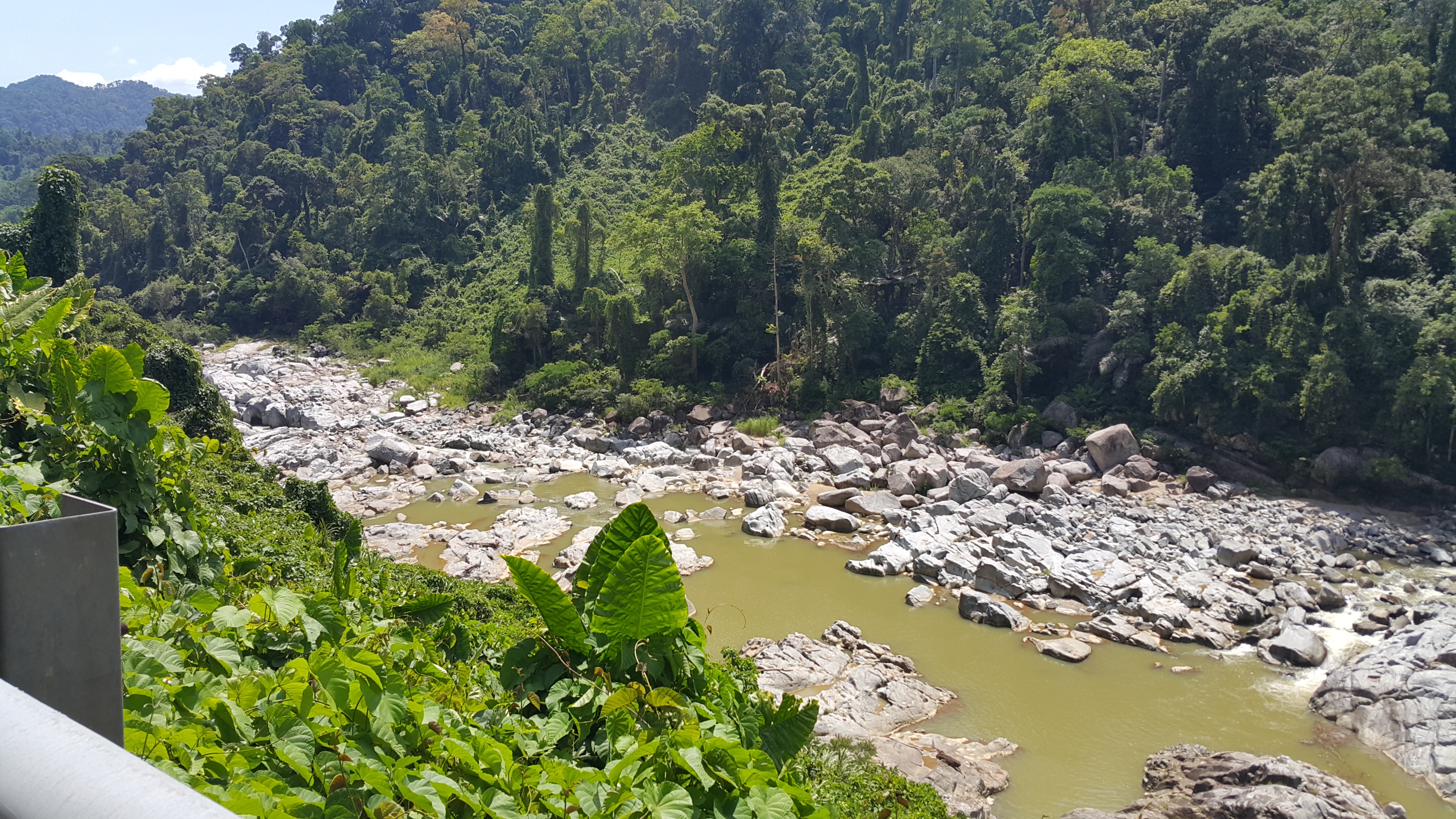 20170616_102040.jpg