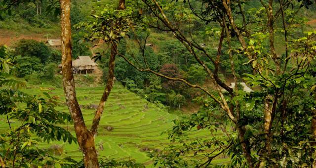 motgockhomuong_zps62034a1a.jpg