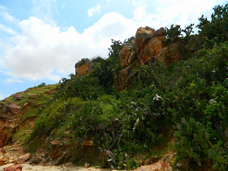 DSCN2202.jpg