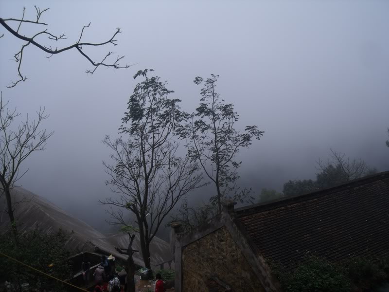 DSCF4595.jpg