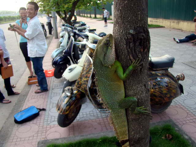 DSC03504.jpg
