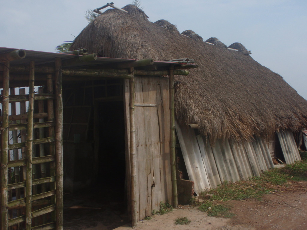 P1012664.jpg