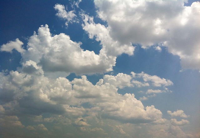 7335677474_757e02f622_z.jpg