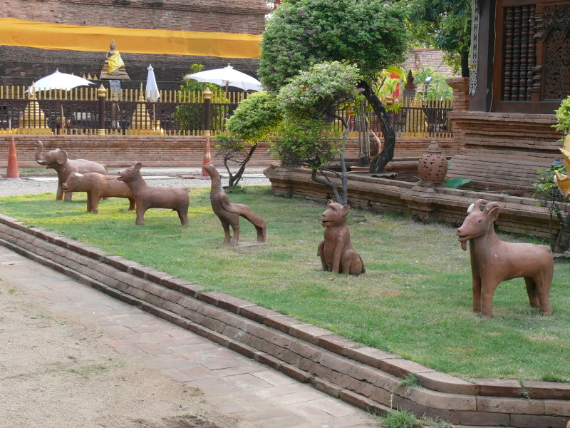 P1020280.jpg