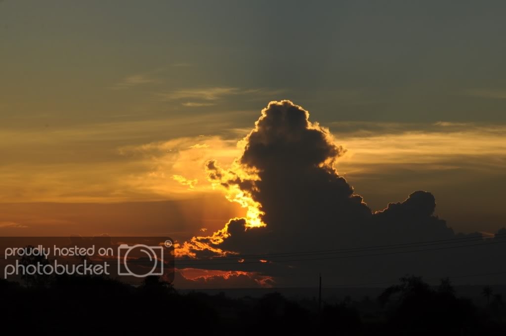 DSC_5972.jpg