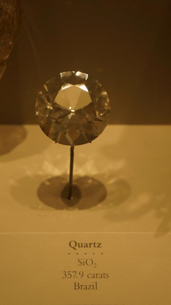 DSC05784_zpse99fce6c.jpg